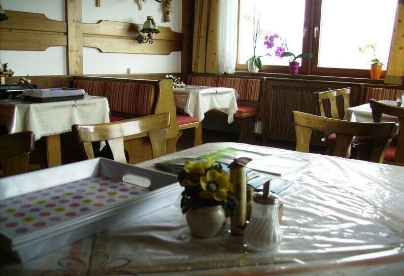 بنسيون Rainzhof