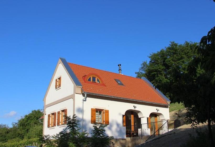 بنسيون Red Lion Vendégház