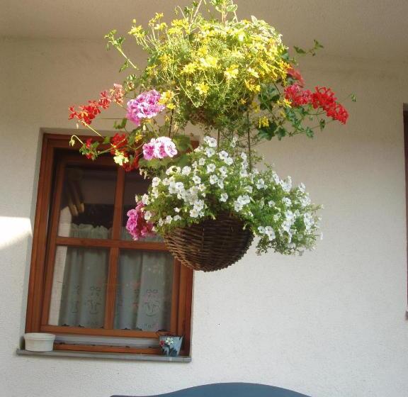 Пансион Rudolf's Fogadó