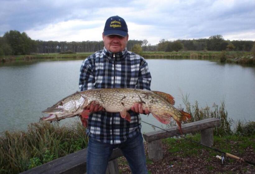 ペンション Sárberki Horgásztó