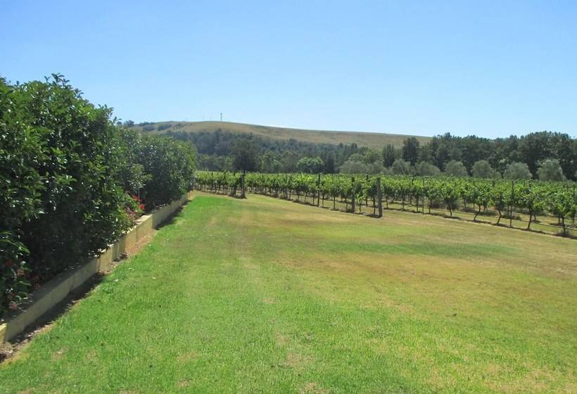 펜션 Tranquil Vale Vineyard