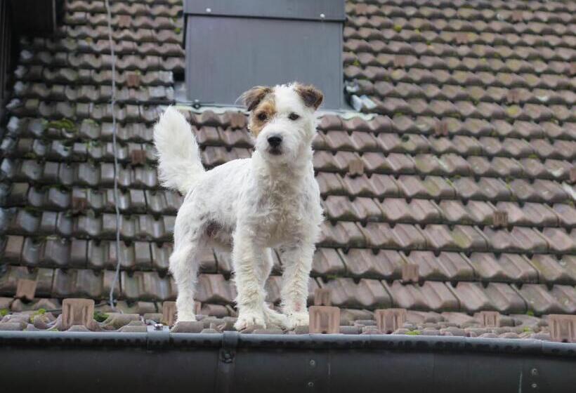 Пансион Wirtshaus Rutihof