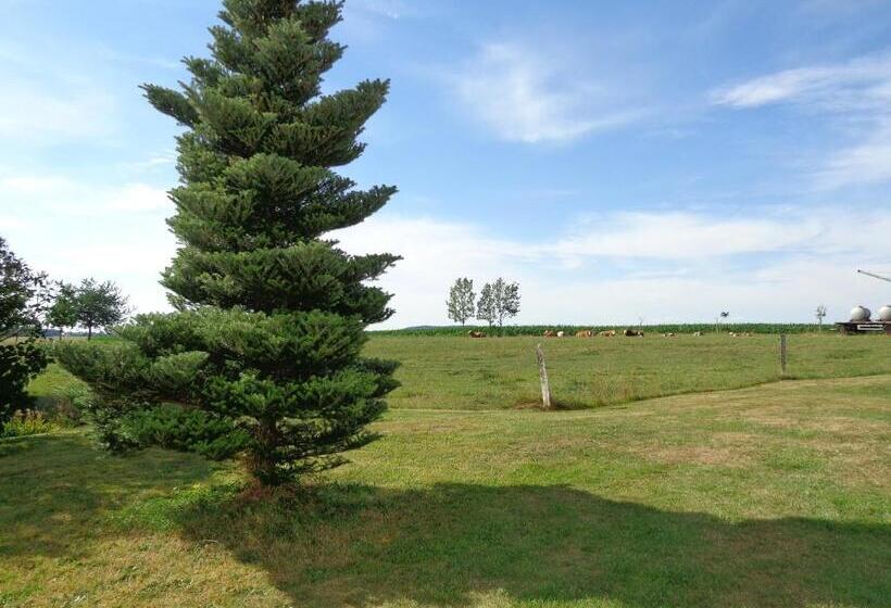 Pension Sonnenhügel