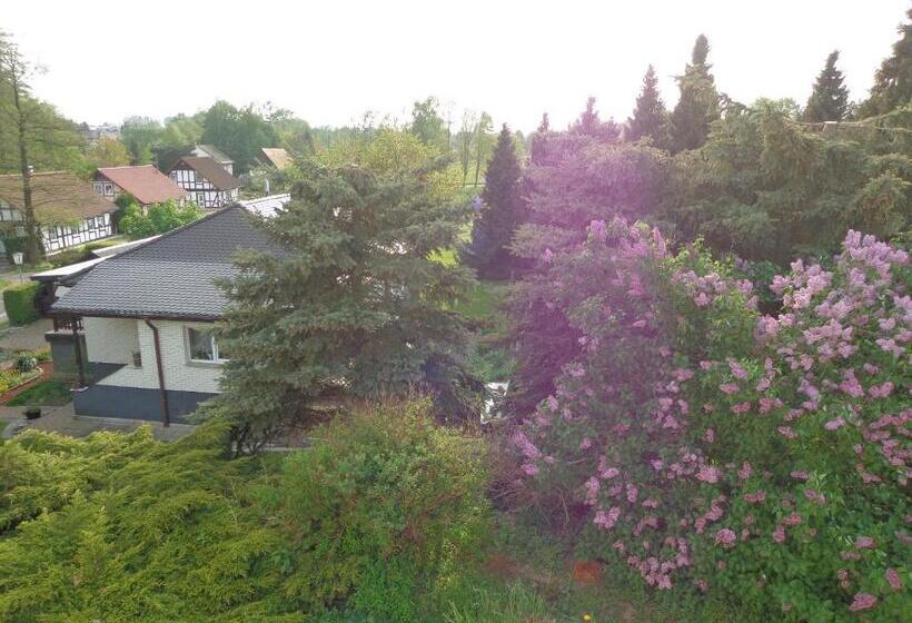 Pension Sonnenhügel