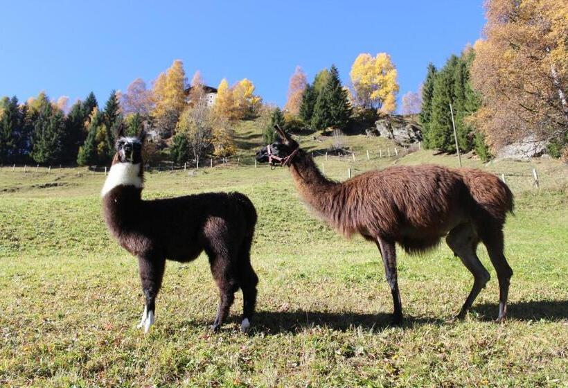 Residence Landhaus Rainer