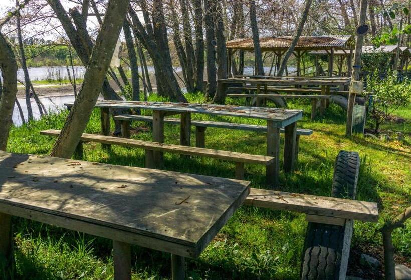 旅馆 Coyunche Cabañas Y Camping Laja & San Rosendo