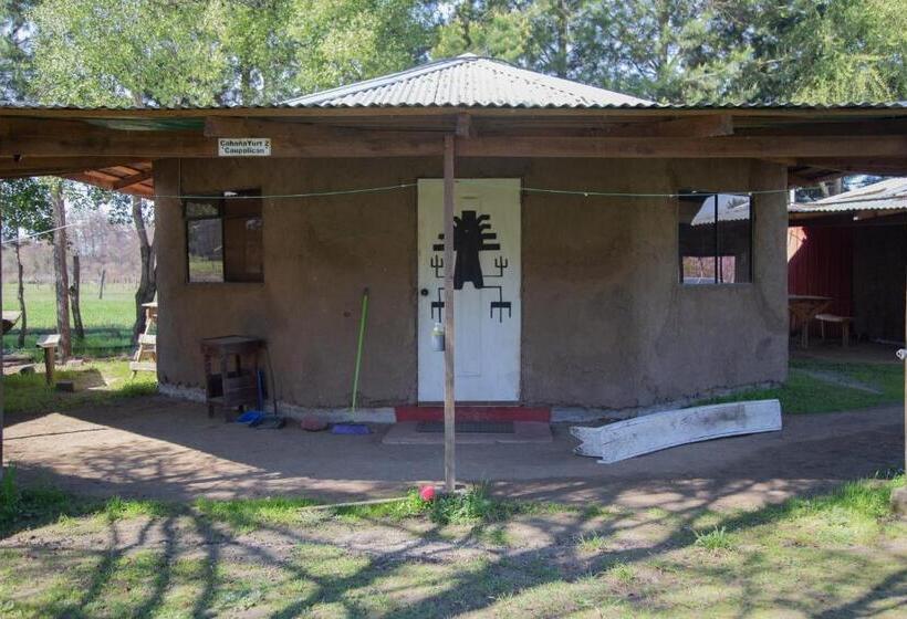 旅馆 Coyunche Cabañas Y Camping Laja & San Rosendo