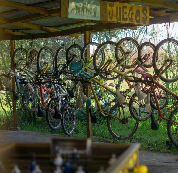 旅馆 Coyunche Cabañas Y Camping Laja & San Rosendo