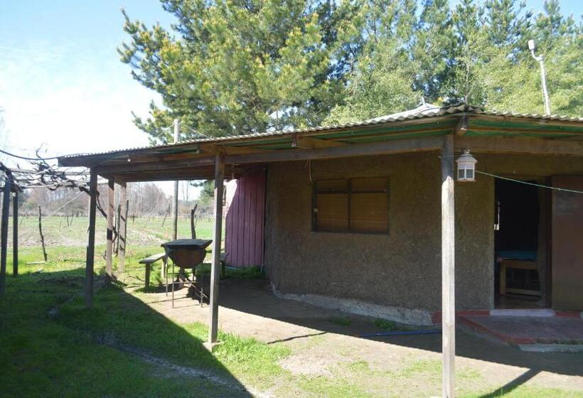 旅馆 Coyunche Cabañas Y Camping Laja & San Rosendo