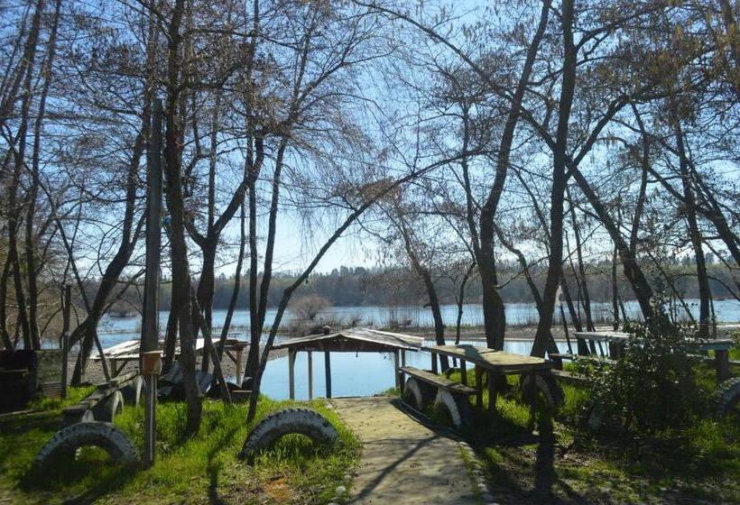 旅馆 Coyunche Cabañas Y Camping Laja & San Rosendo