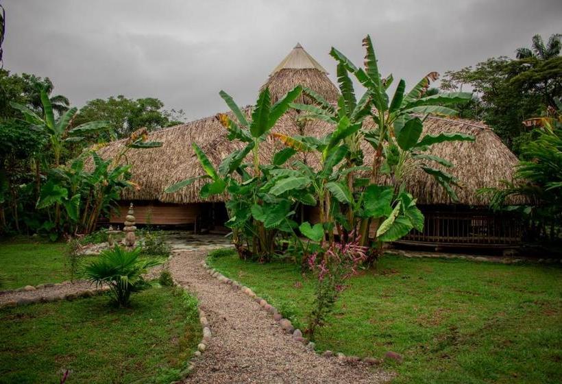 ユースホステル Ecolodge Cosmogénesis