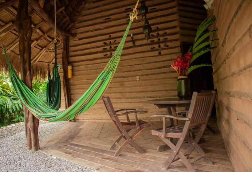 ユースホステル Ecolodge Cosmogénesis