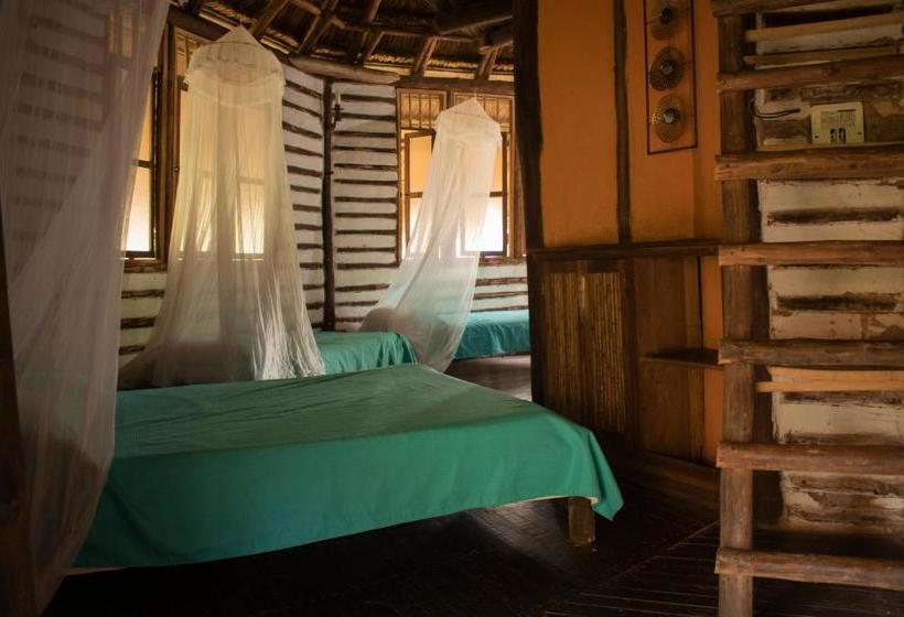 ユースホステル Ecolodge Cosmogénesis