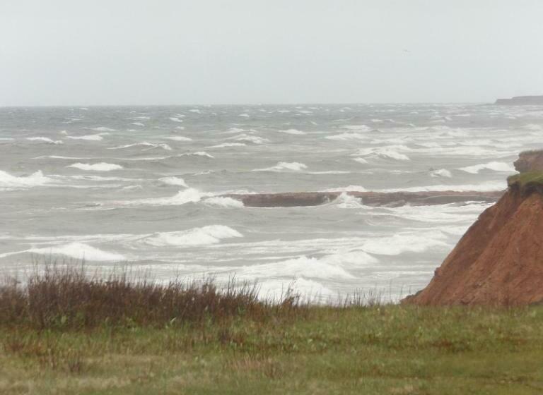 فندق صغير Johnson Shore Inn