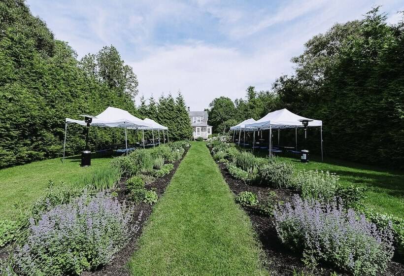 فندق صغير Lambert S Cove Inn & Resort