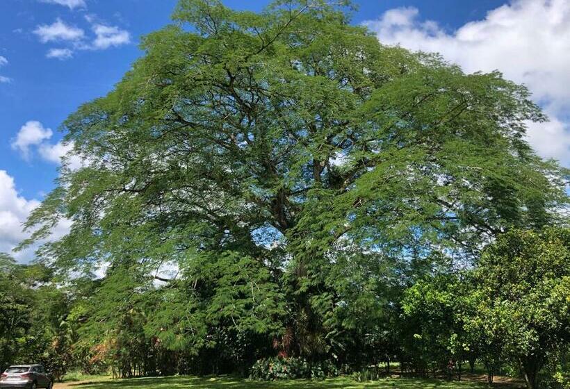 הוסטל Santa Maria Hotel & Restaurant