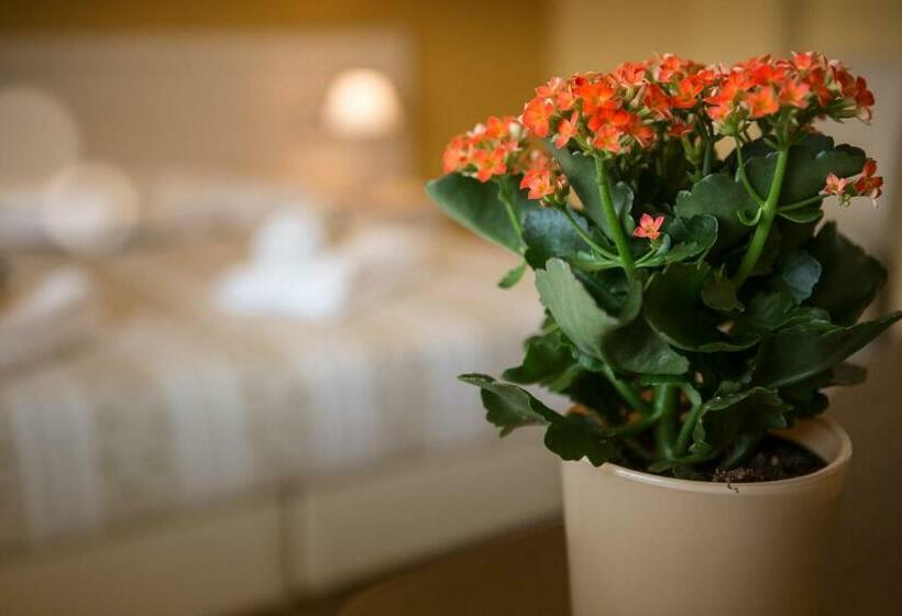 הוסטל Trattoria Locanda San Rocco