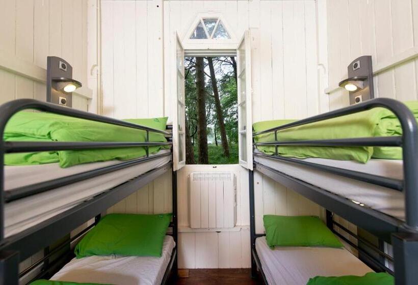 הוסטל Yha Idwal Cottage