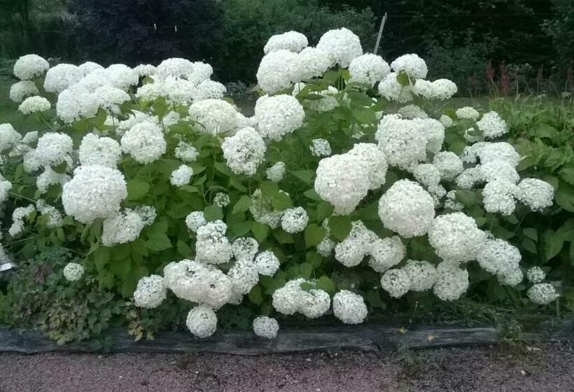 Au Rendez Vous De L Auxois B&b