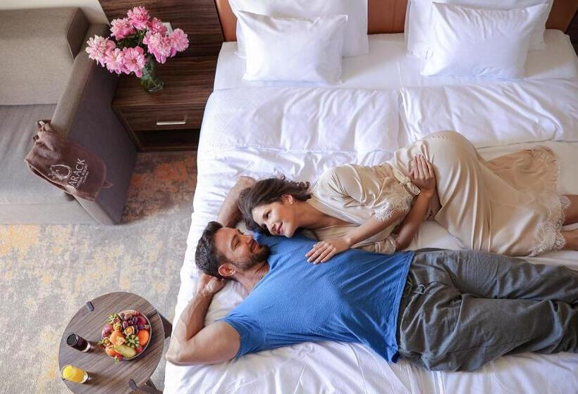 Barack Thermal Hotel And Spa