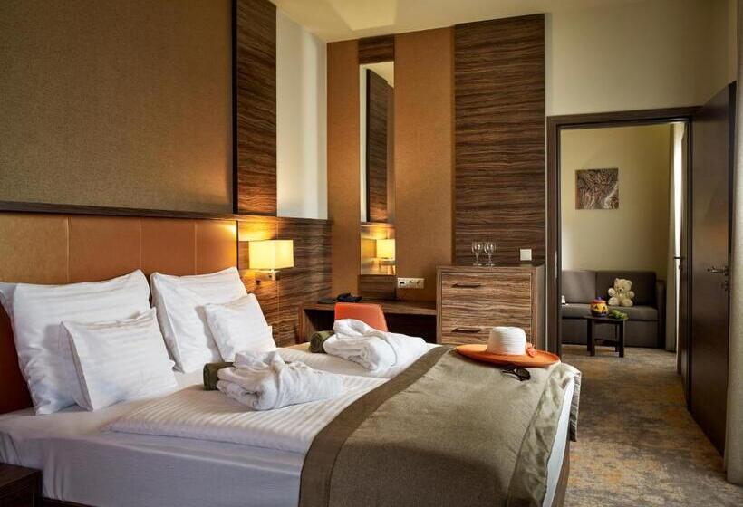 Barack Thermal Hotel And Spa