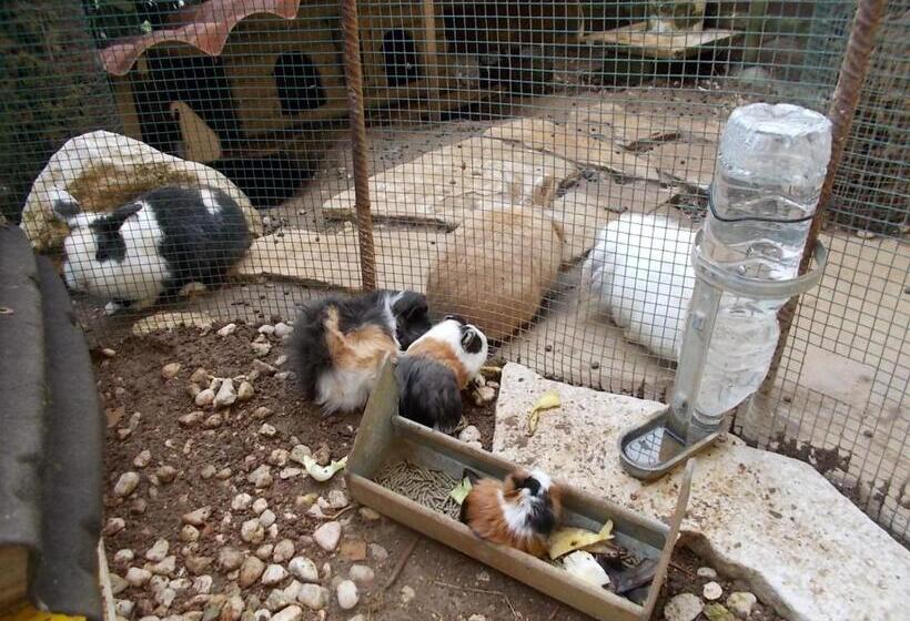 B&b Il Giardino Acquatico