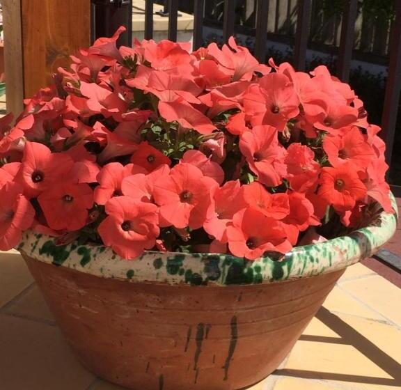 B&b La Casa In Campagna