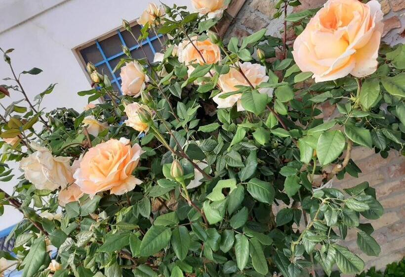 B&b La Casa In Campagna