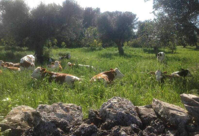 B&b Masseria Nuove Caselle