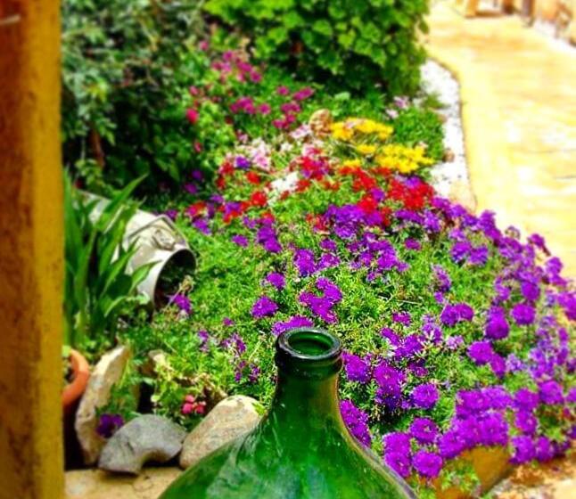 B&b Sa Specula Iun E4404