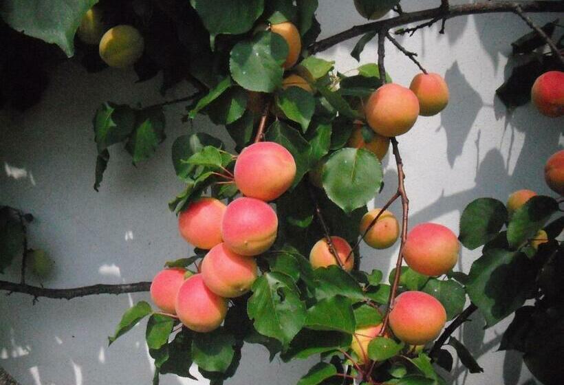 Bed And Breakfast Ai Sassi