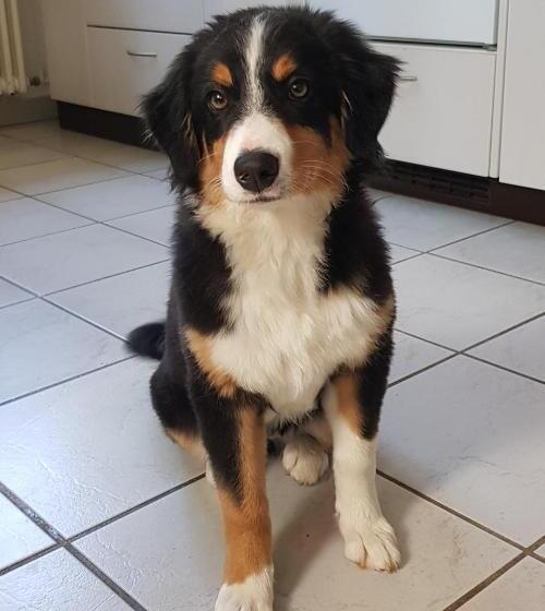 צימר Bnb Mönthal Im Jurapark