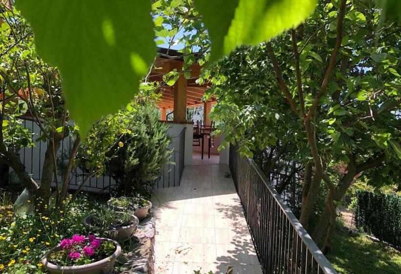 مبيت وإفطار Casa Vacanze Primula Palinuri