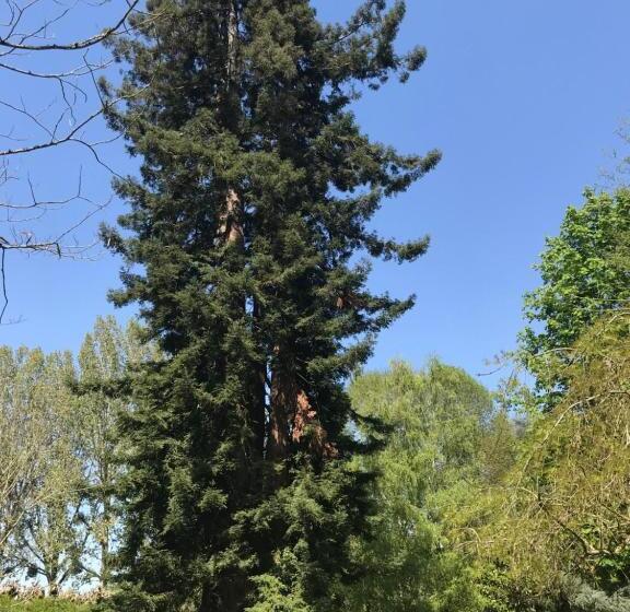 Bed and Breakfast Chambre D'hôte Manoir De Clairbois