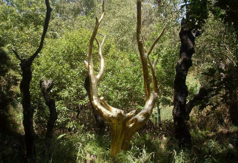 צימר Chambre D'hôtes Les Bruyères