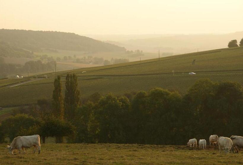 민박 Chambres D'hotes & Champagne Douard