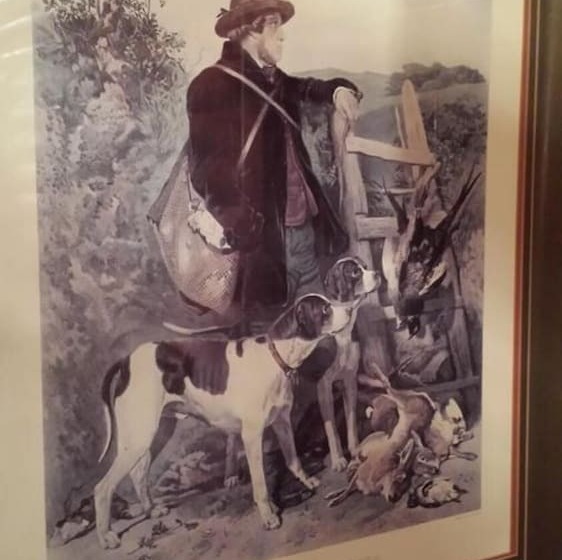 مبيت وإفطار Deer Mountain Lodge & Wilderness Resort