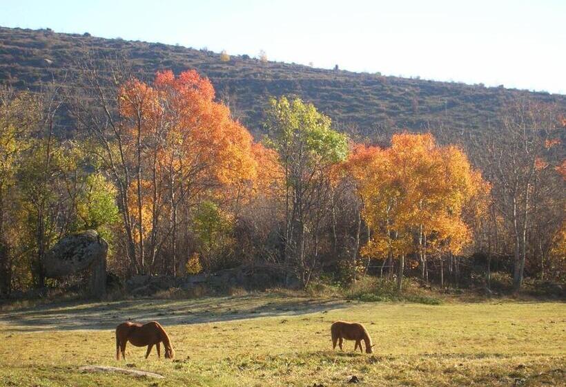 צימר El Balcó De Dorres