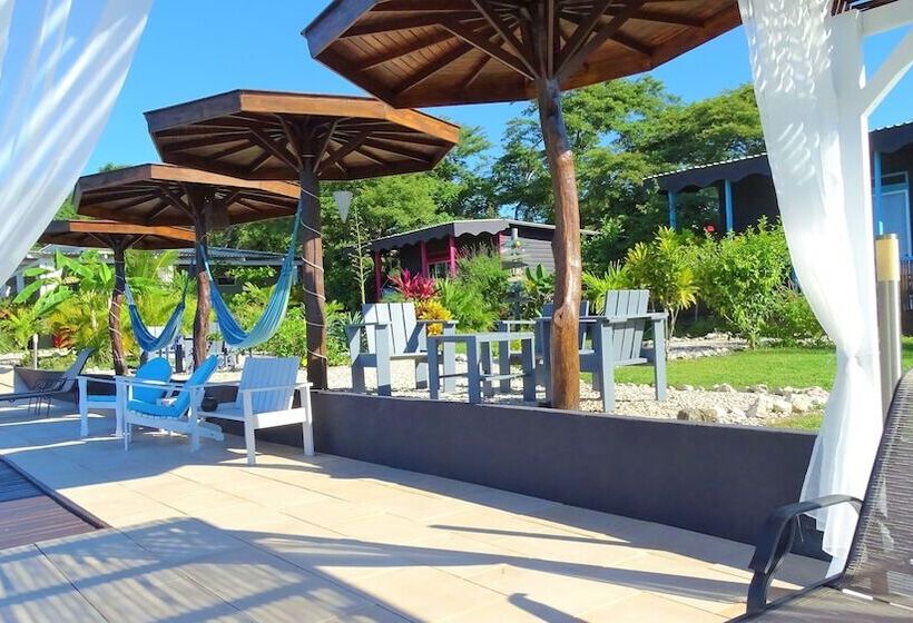 مبيت وإفطار La Colina Pura Vista