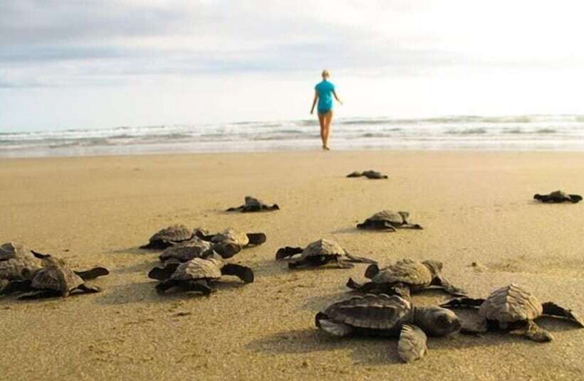 مبيت وإفطار La Colina Pura Vista