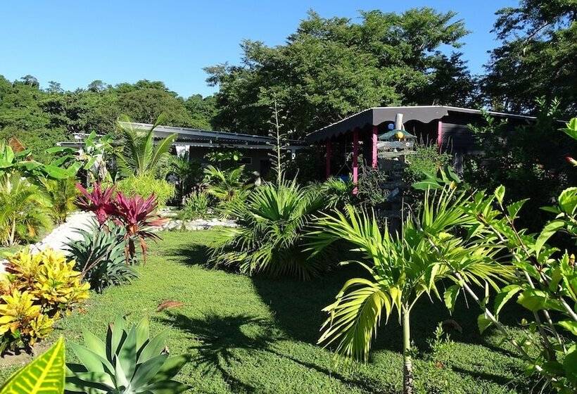 مبيت وإفطار La Colina Pura Vista