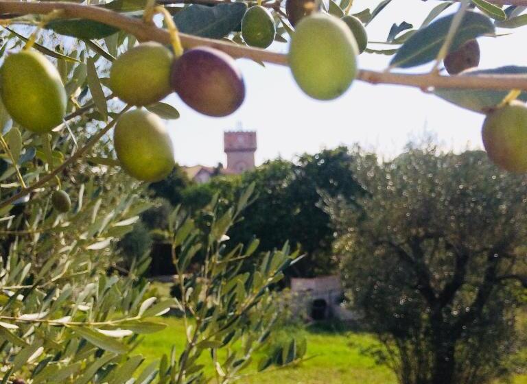 مبيت وإفطار La Lanterna