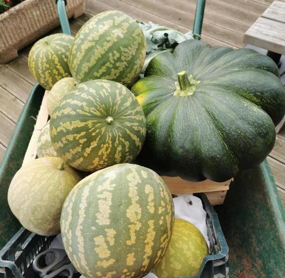 ベッドアンドブレックファースト La Rose Des Vents