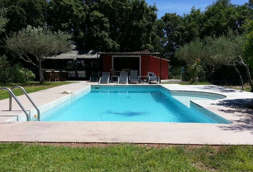 Bed and Breakfast Le Mas Des Oliviers