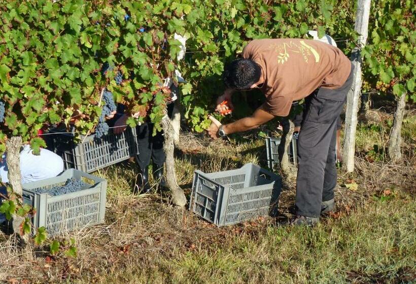 ベッドアンドブレックファースト Maison D Hôtes La Prévôté