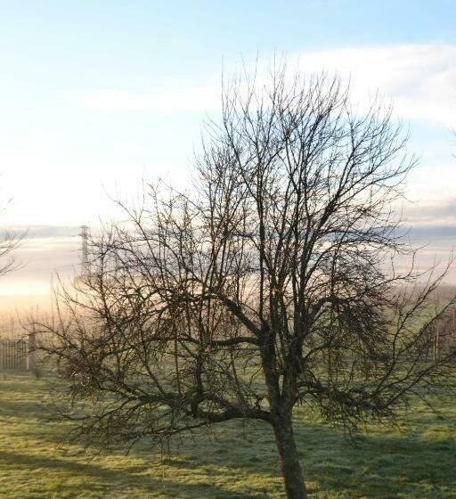 민박 Maison D Hôtes La Prévôté
