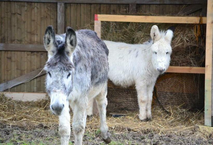 민박 Maison D Hôtes La Prévôté
