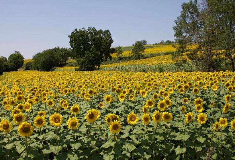 Bed and Breakfast Manoir La Breuille