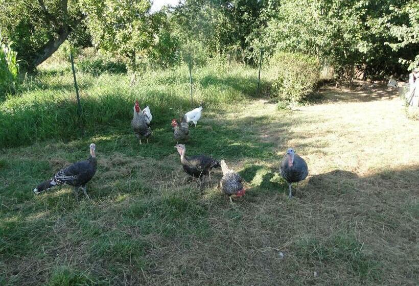 צימר Manoir La Haie Chapeau