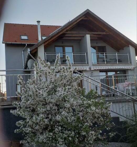 צימר Villa Rigo Panzió